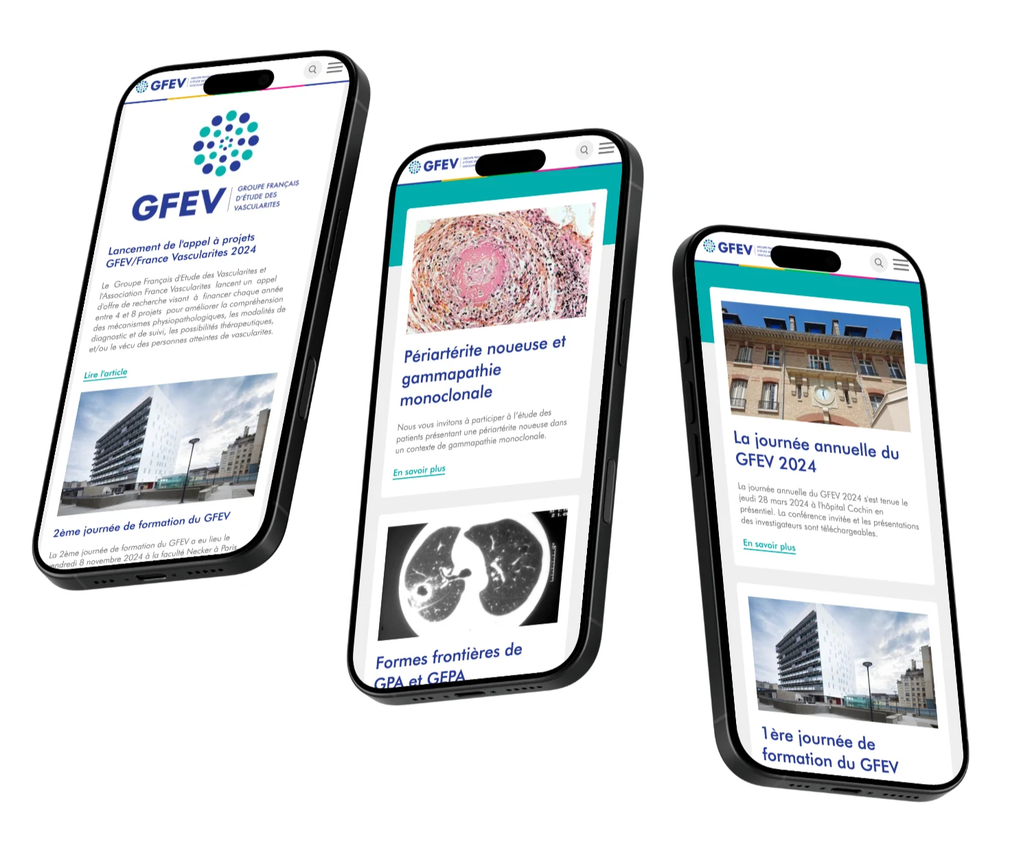 Système visuel et applications de marque du GFEV